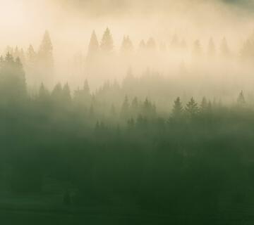 Photo de Philipp / Unsplash