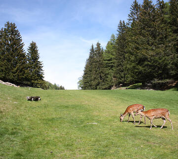 Paysage de Merlet