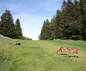 Paysage de Merlet