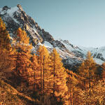 Aiguille du Midi en automne