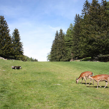 Paysage de Merlet